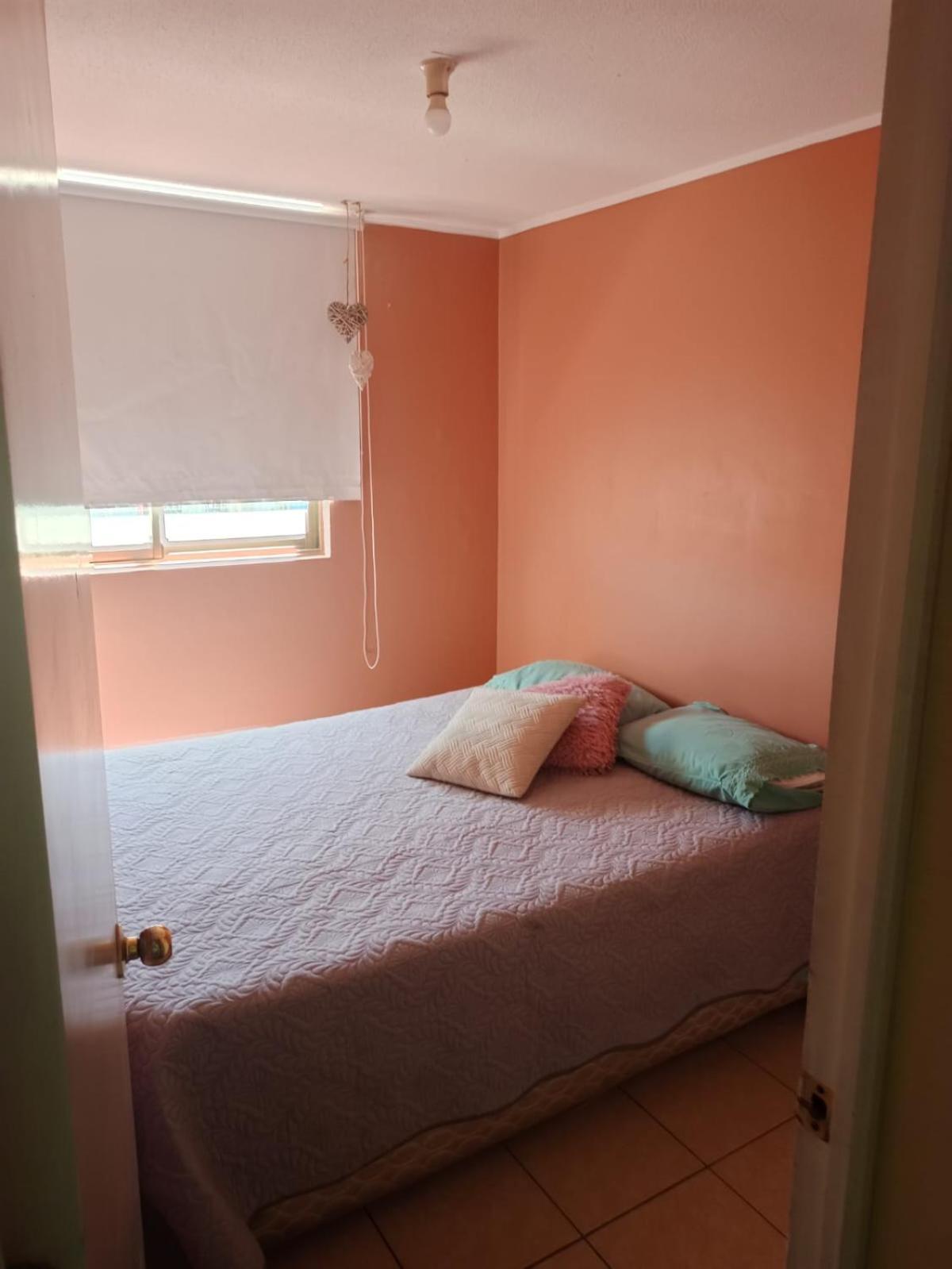 Apartamento Departamento En Santiago Metro Nuble Exterior foto
